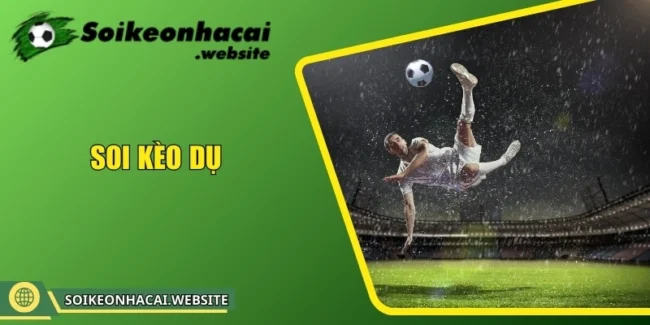 soi kèo dụ