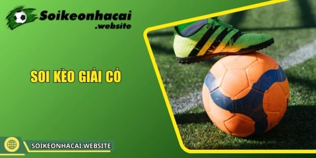 soi kèo giải cỏ