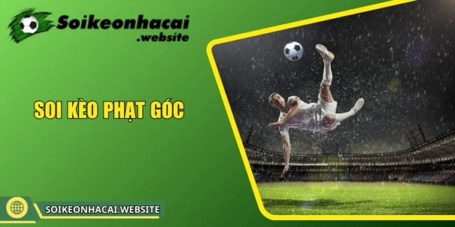 soi kèo phạt góc